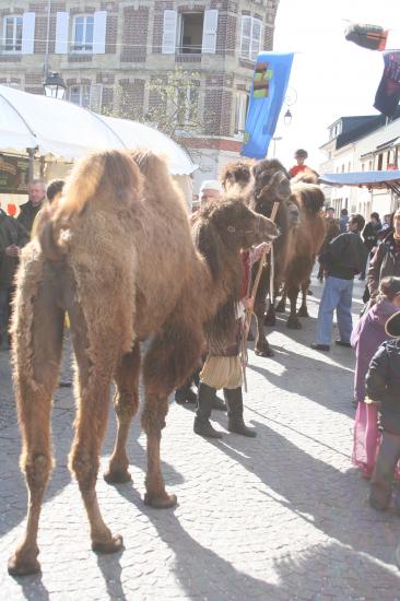 Fête de la Scie 2010