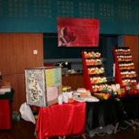 Marché de Noël Gruchet 2010