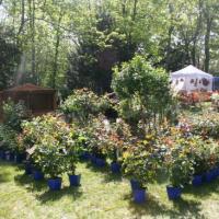 naturalies-2011-035