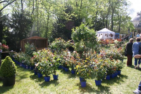 Naturalies 2011