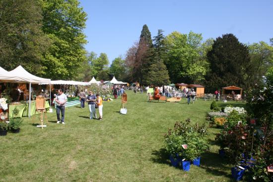 Naturalies 2011