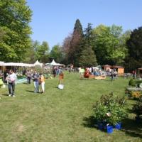 Naturalies 2011