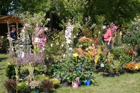 Naturalies 2011