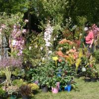 Naturalies 2011