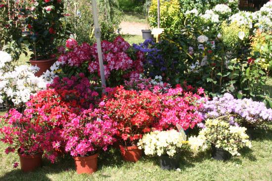 Naturalies 2011