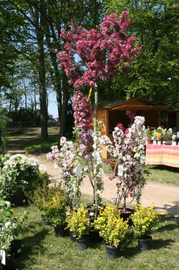 Naturalies 2011
