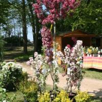 Naturalies 2011