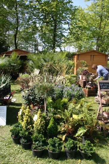 Naturalies 2011