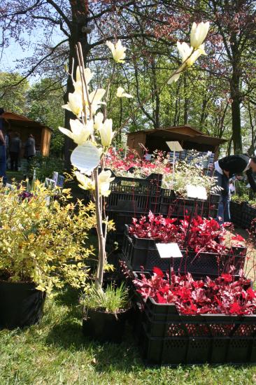 Naturalies 2011