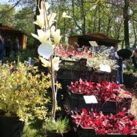 Naturalies 2011