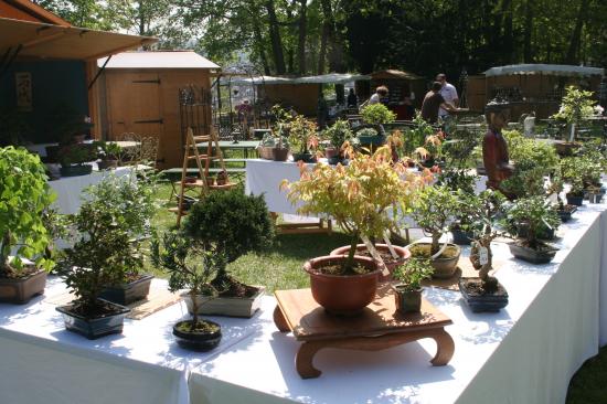 Naturalies 2011