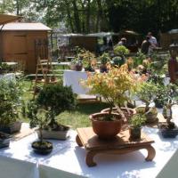 Naturalies 2011