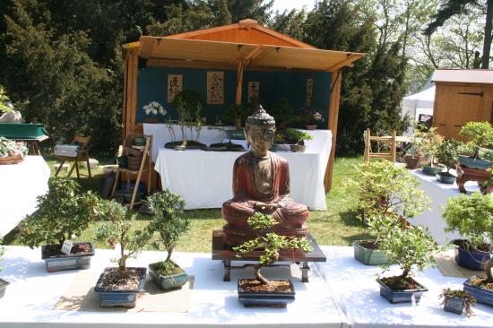 Naturalies 2011