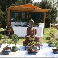 Naturalies 2011