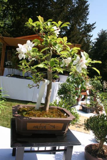 Naturalies 2011