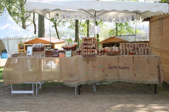 Naturalies 2011