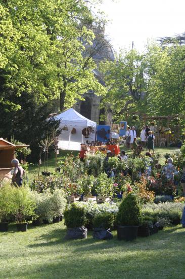 Naturalies 2011