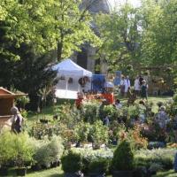 Naturalies 2011