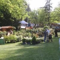 Naturalies 2011