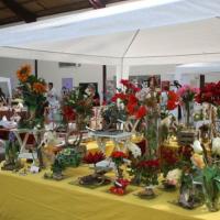 marché d'Arts de St Pierre les Elbeufs