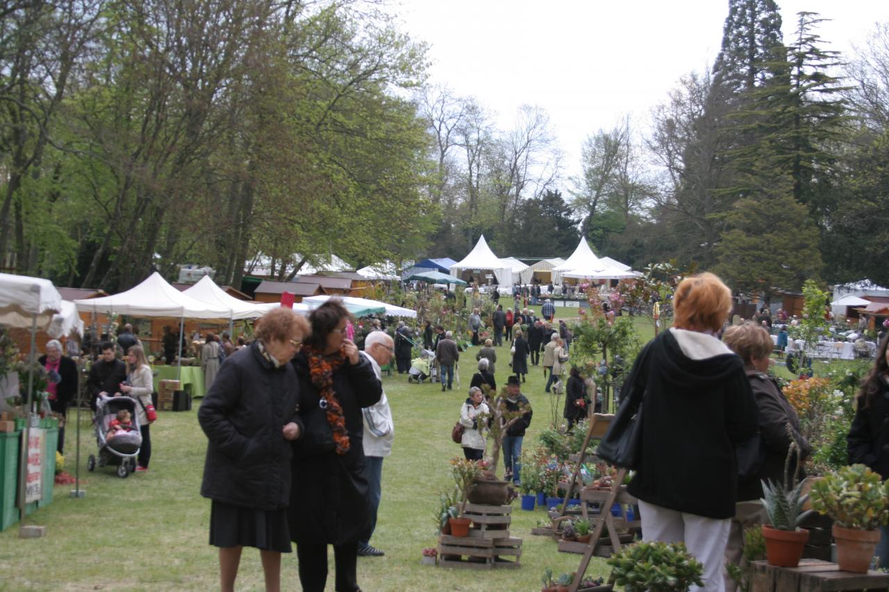 naturalies 2012 (12)