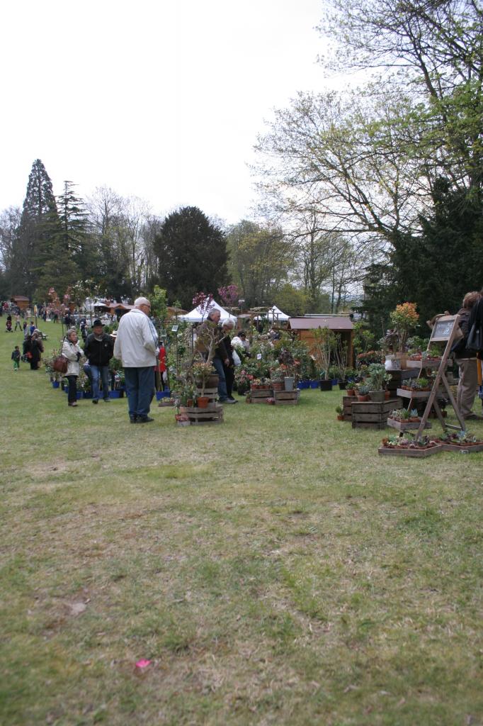 naturalies 2012 (13)