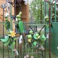 naturalies 2012 (17)