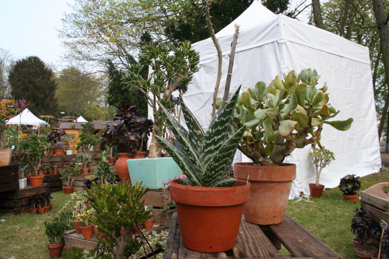 naturalies 2012 (18)