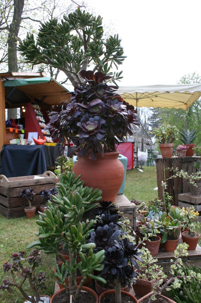 naturalies 2012 (19)