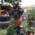 naturalies 2012 (19)