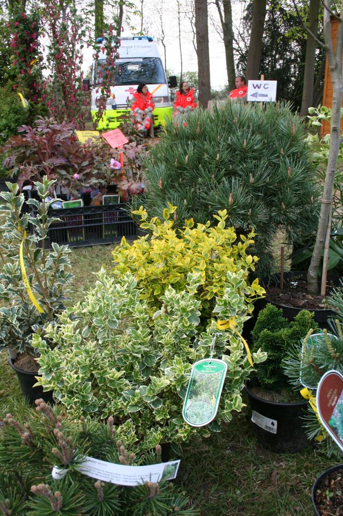 naturalies 2012 (29)
