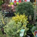 naturalies 2012 (29)