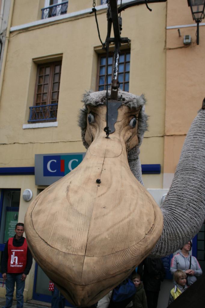Scie 2014 (18)